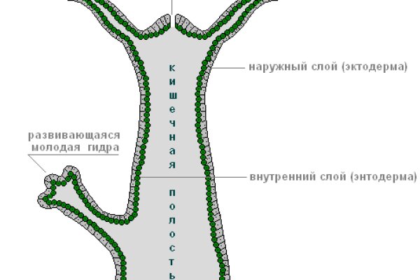 Кракен официальная ссылка vtor run