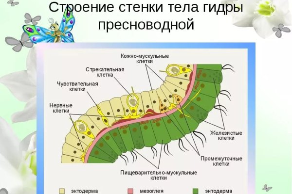 Кракен новый маркетплейс