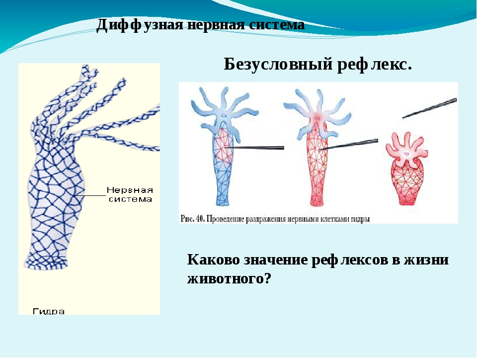 Кракен kr2web in маркетплейс ссылка